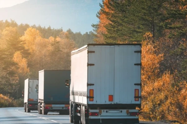 Ankara Kozlu Nakliyat